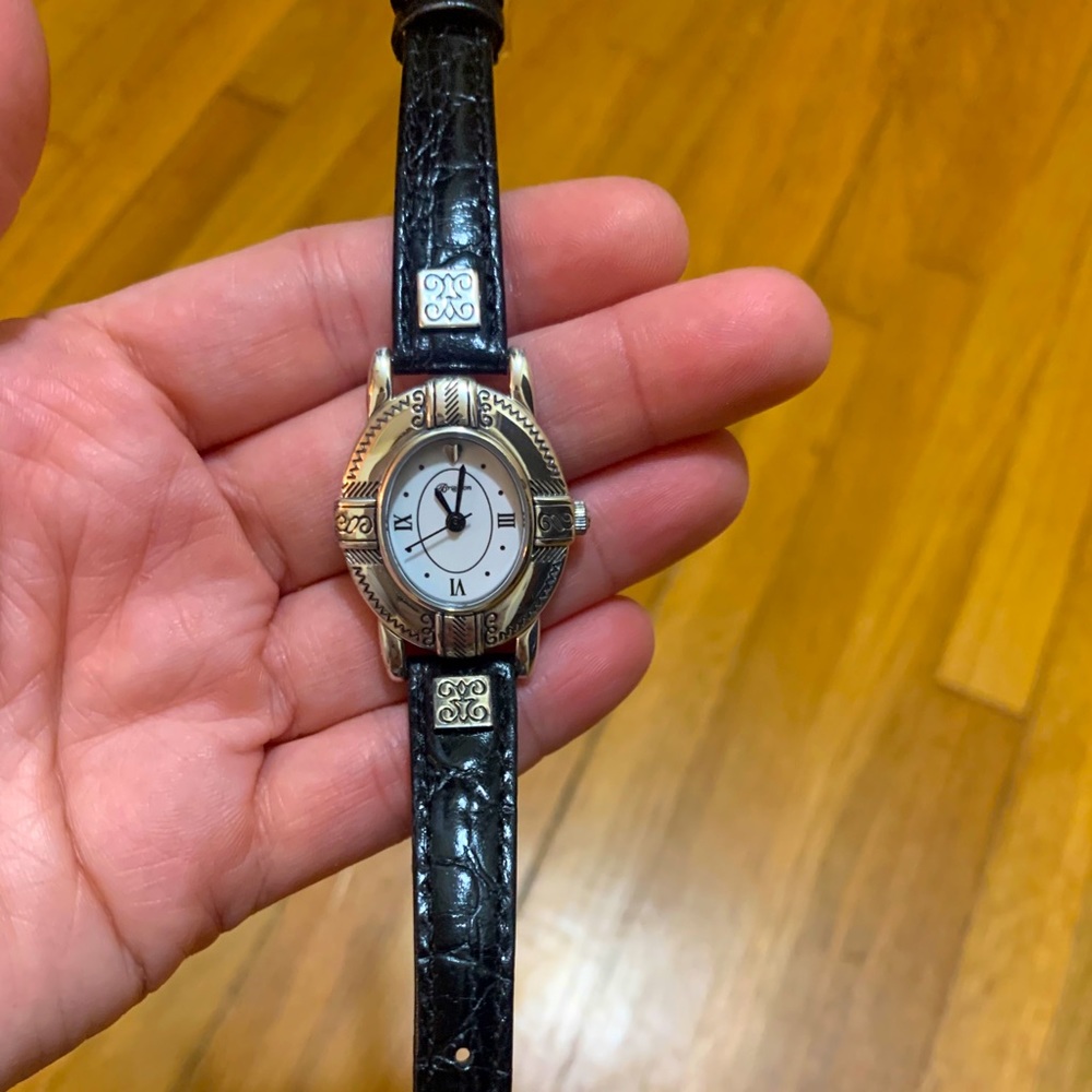 Brighton watch
